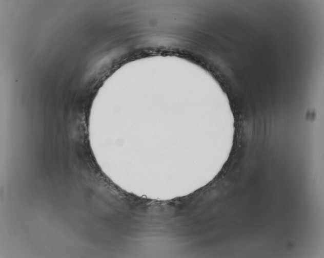 X0000111880918200908201254