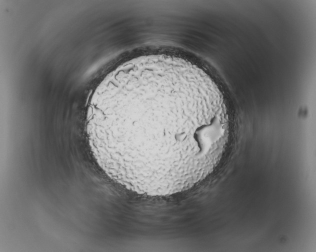X0000111880919200908201254