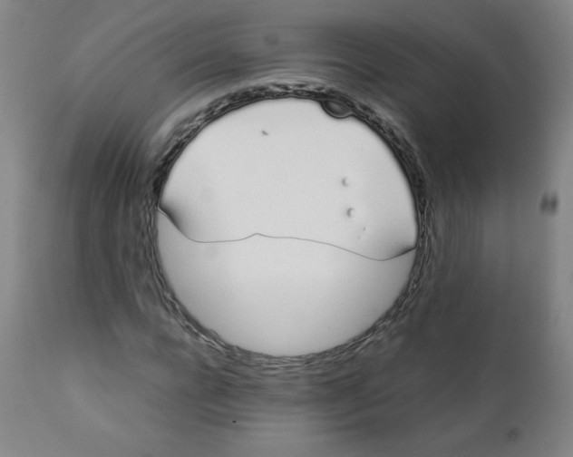 X0000111880920200908201254