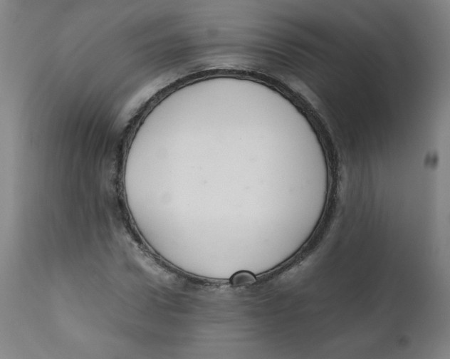 X0000111880922200908201254
