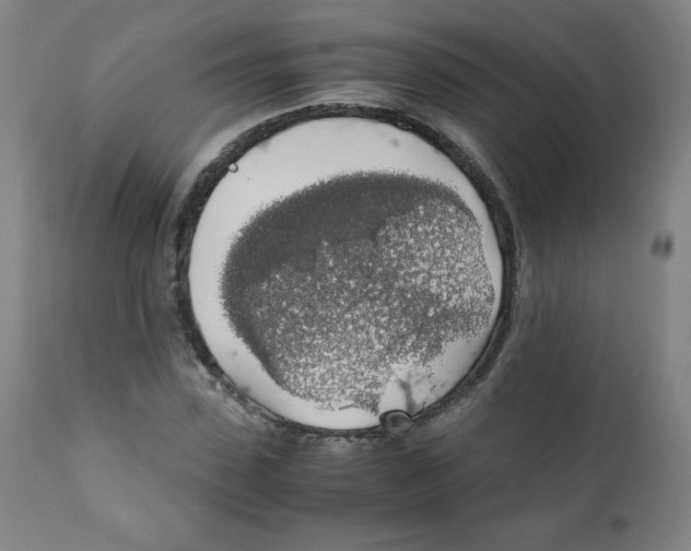 X0000111880923200908201254