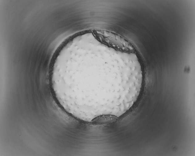 X0000111880924200908201254