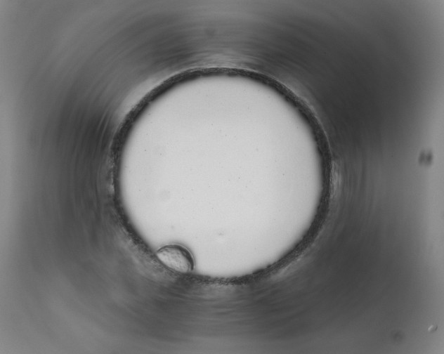 X0000111880925200908201254