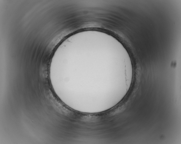 X0000111880929200908201254