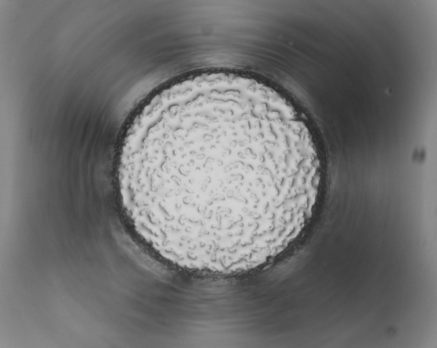 X0000111880930200908201254