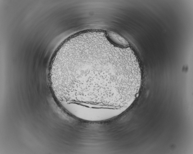 X0000111880932200908201254