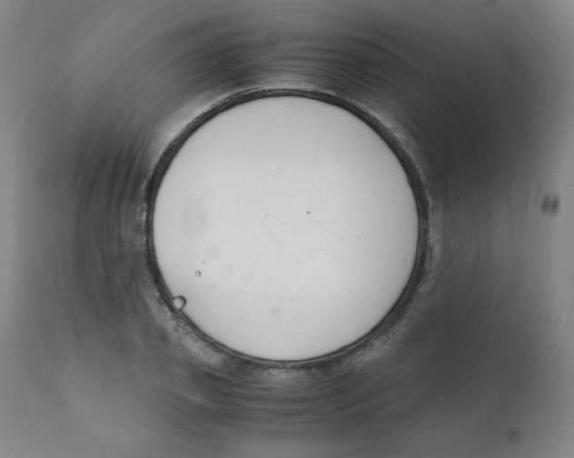 X0000111880933200908201254