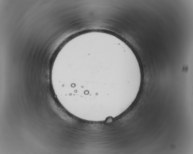 X0000111880934200908201254