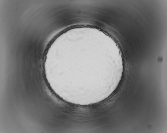 X0000111880935200908201254