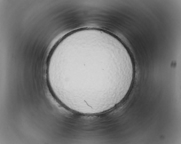 X0000111880939200908201254