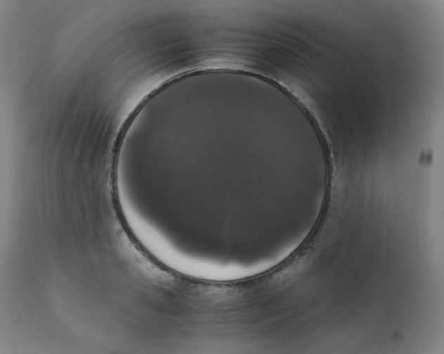 X0000111880941200908201254