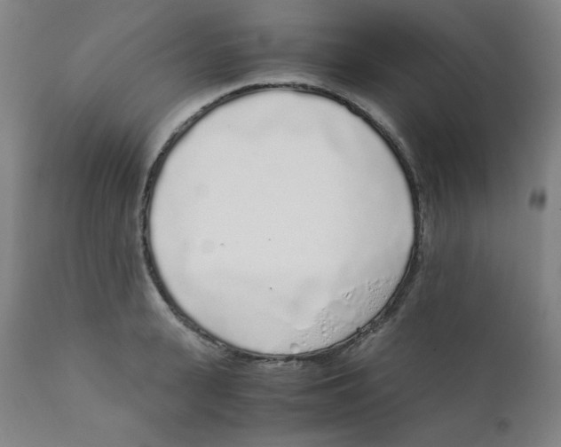 X0000111880943200908201254