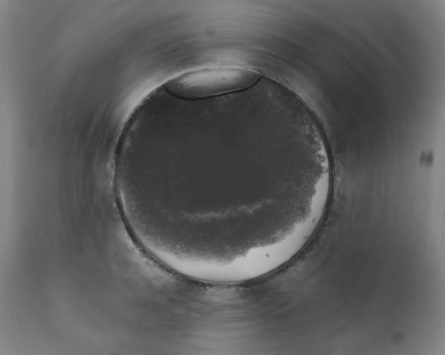 X0000111880944200908201254