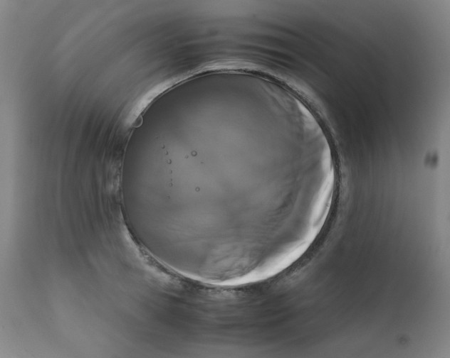 X0000111880945200908201254