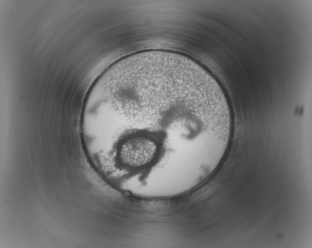 X0000111880946200908201254