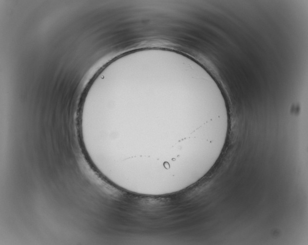 X0000111880947200908201254