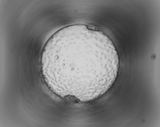 X0000111880948200908201254