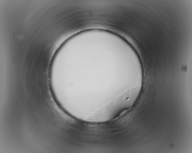 X0000111880951200908201254