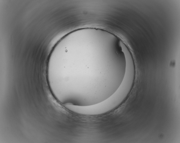 X0000111880952200908201254