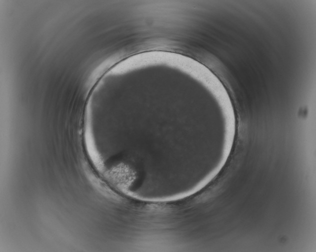 X0000111880954200908201254