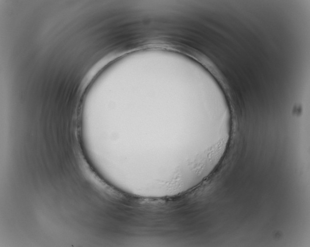 X0000111880955200908201254