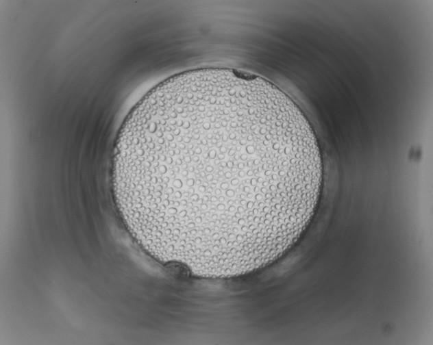 X0000111880956200908201254