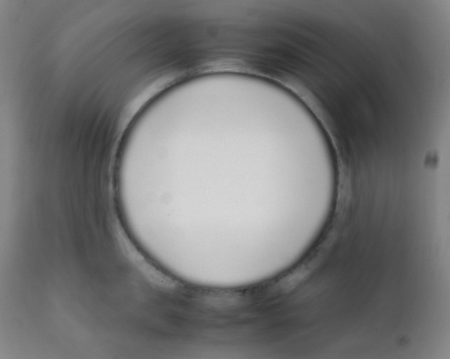 X0000111880957200908201254