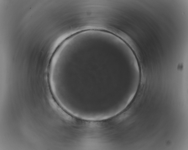 X0000111880958200908201254