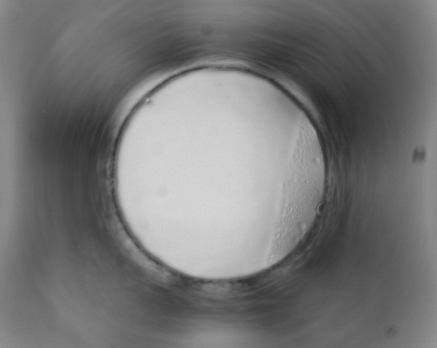 X0000111880959200908201254
