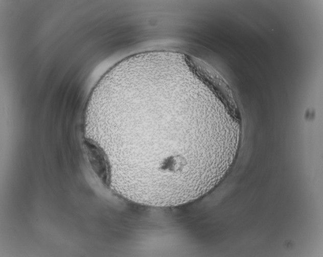 X0000111880960200908201254