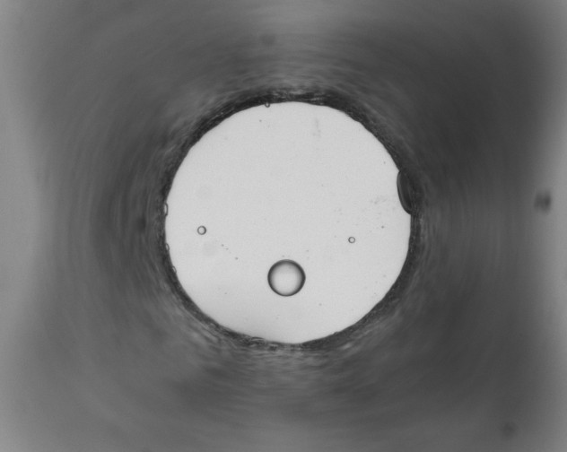 X0000111880961200908201253