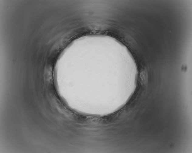 X0000111880963200908201253
