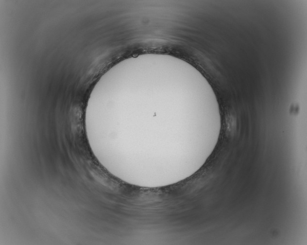 X0000111880964200908201253