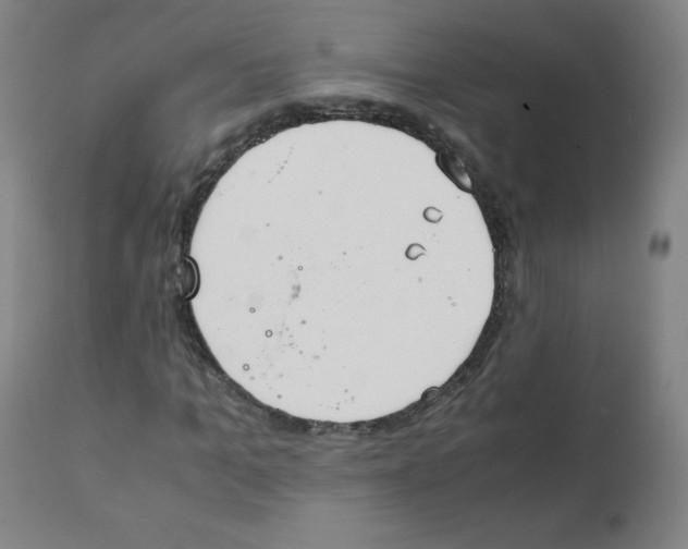 X0000111880965200908201253