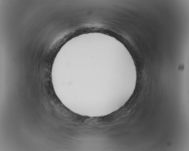 X0000111880967200908201253