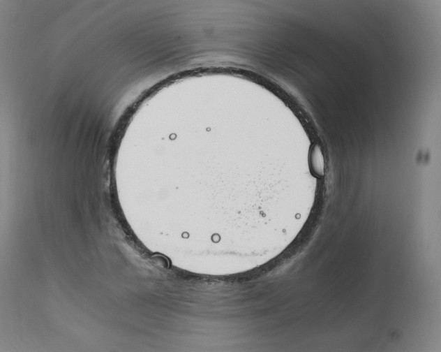 X0000111880973200908201253
