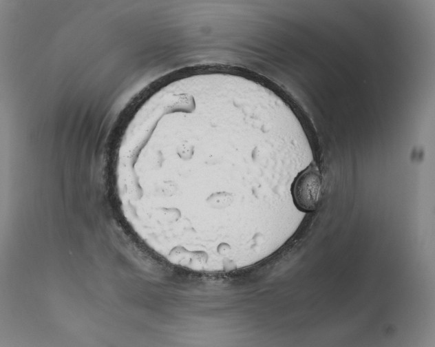 X0000111880975200908201253