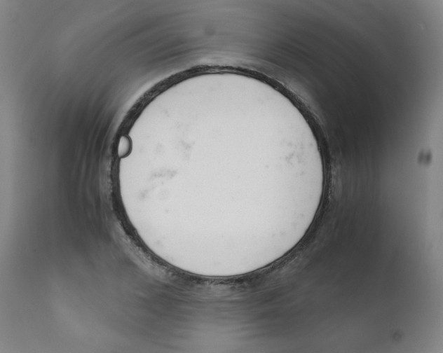 X0000111880976200908201253
