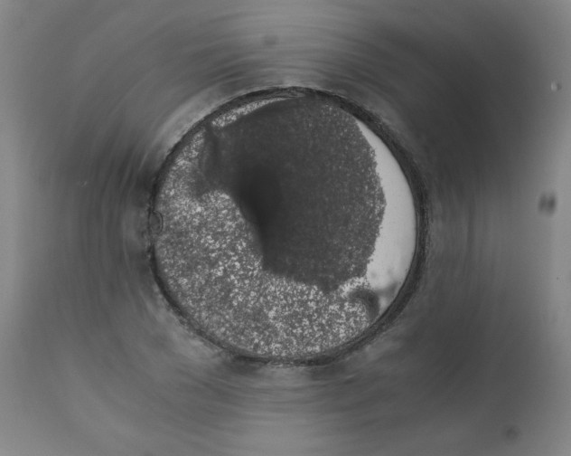 X0000111880977200908201253