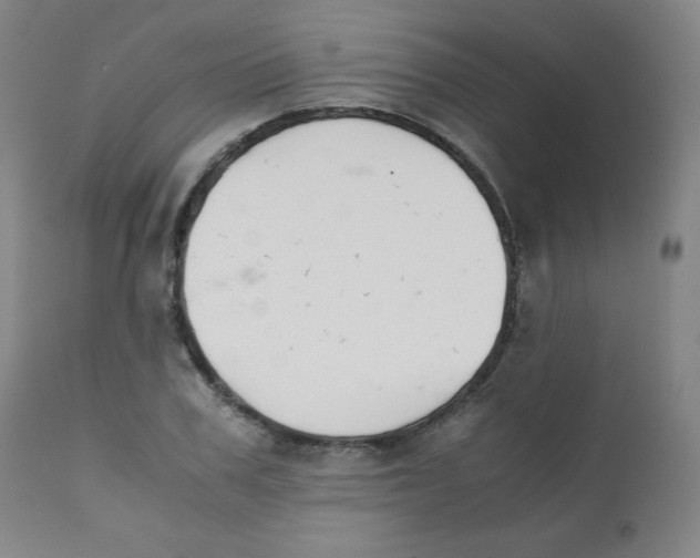 X0000111880979200908201253