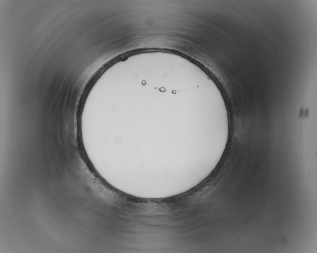 X0000111880980200908201253