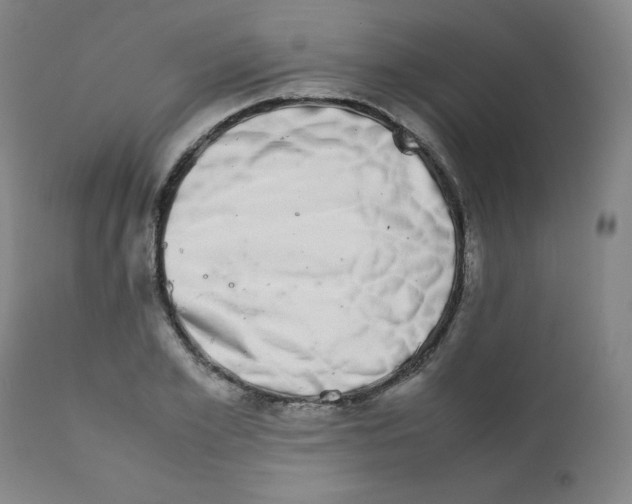 X0000111880981200908201253