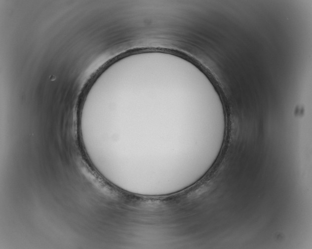 X0000111880982200908201253