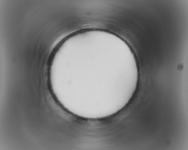 X0000111880983200908201253