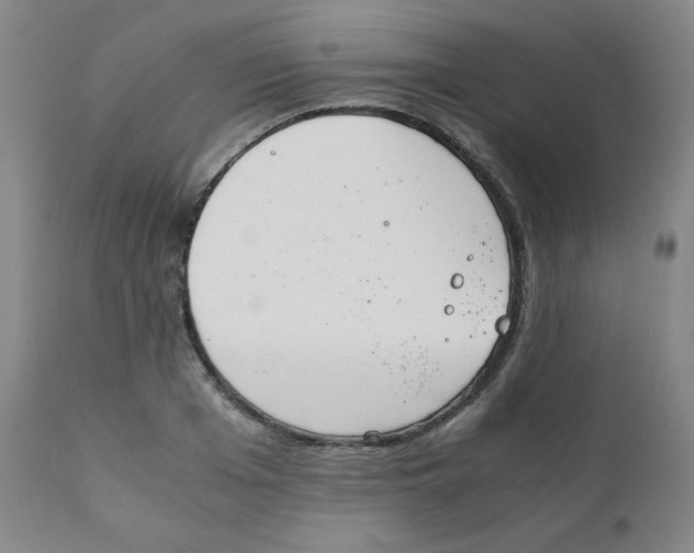 X0000111880985200908201253