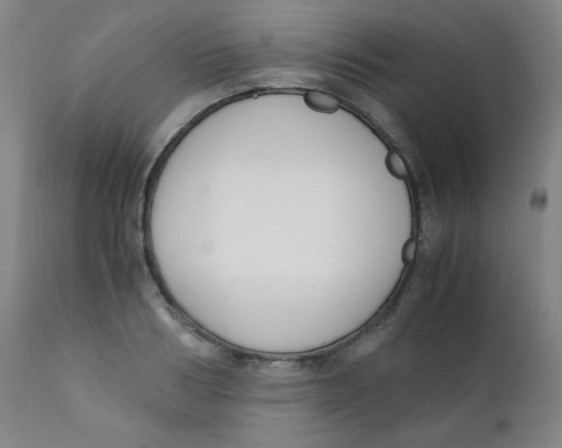 X0000111880986200908201253