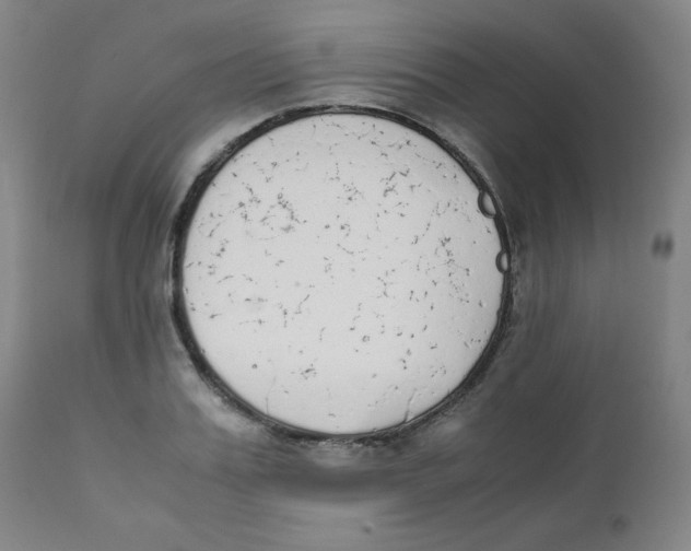 X0000111880987200908201253