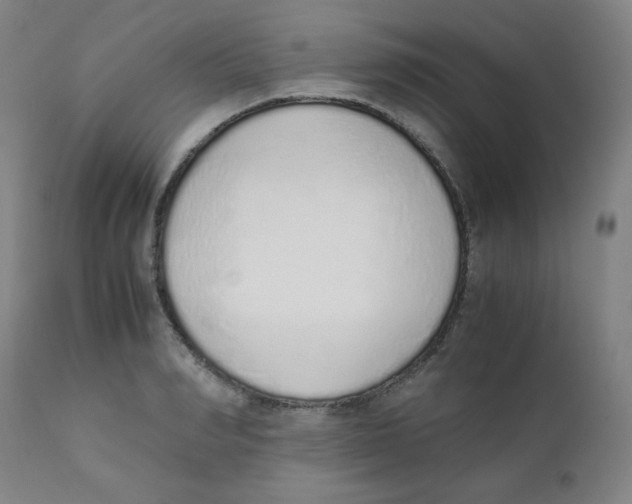 X0000111880990200908201253
