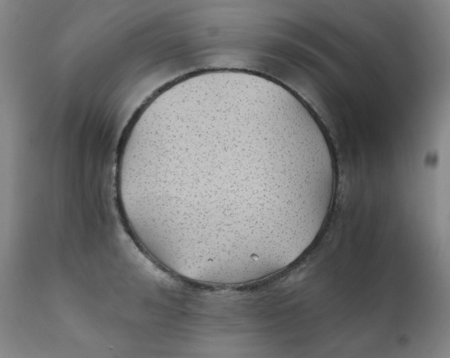 X0000111880992200908201253
