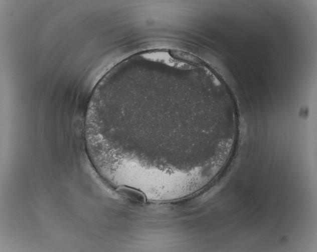 X0000111880993200908201253